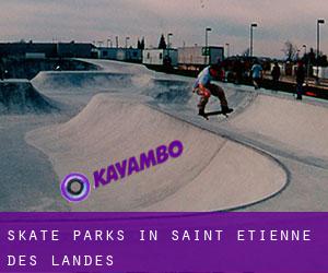 Skate Parks in Saint-Étienne-des-Landes