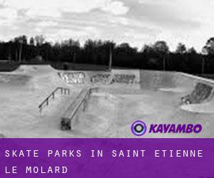 Skate Parks in Saint-Étienne-le-Molard