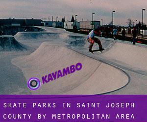 Skate Parks in Saint Joseph County by metropolitan area - page 1