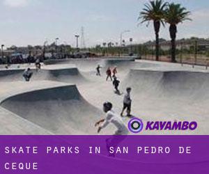 Skate Parks in San Pedro de Ceque