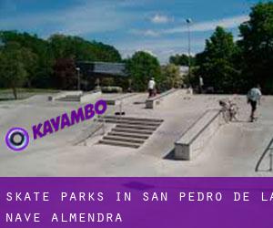 Skate Parks in San Pedro de la Nave-Almendra