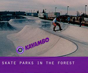 Skate Parks in The Forest