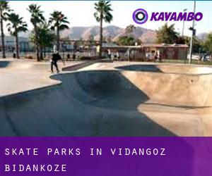 Skate Parks in Vidángoz / Bidankoze