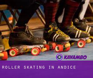 Roller Skating in Andice