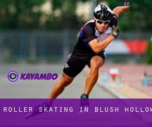 Roller Skating in Blush Hollow