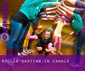 Roller Skating in Canals