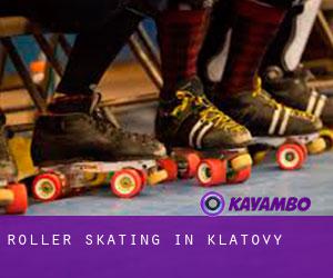 Roller Skating in Klatovy