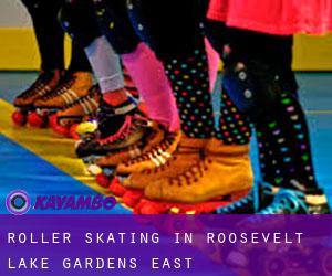 Roller Skating in Roosevelt Lake Gardens East