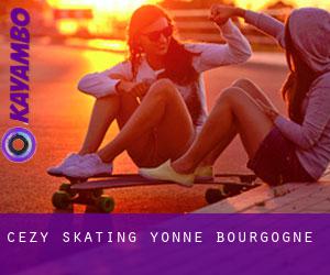 Cézy skating (Yonne, Bourgogne)