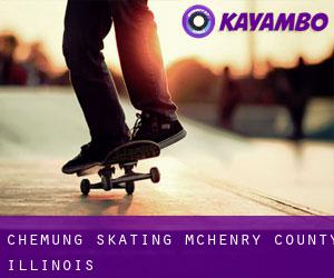 Chemung skating (McHenry County, Illinois)