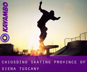 Chiusdino skating (Province of Siena, Tuscany)