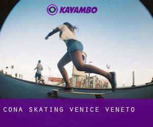 Cona skating (Venice, Veneto)