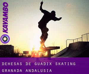 Dehesas de Guadix skating (Granada, Andalusia)