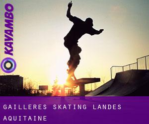 Gaillères skating (Landes, Aquitaine)