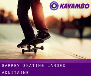 Garrey skating (Landes, Aquitaine)