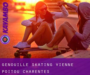 Genouillé skating (Vienne, Poitou-Charentes)