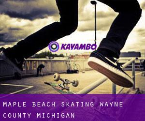 Maple Beach skating (Wayne County, Michigan)