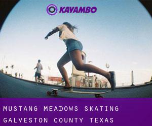 Mustang Meadows skating (Galveston County, Texas)