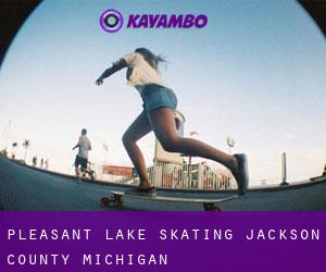 Pleasant Lake skating (Jackson County, Michigan)