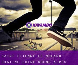 Saint-Étienne-le-Molard skating (Loire, Rhône-Alpes)