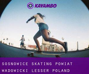 Sosnowice skating (Powiat wadowicki, Lesser Poland Voivodeship)