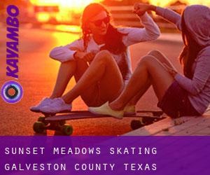 Sunset Meadows skating (Galveston County, Texas)