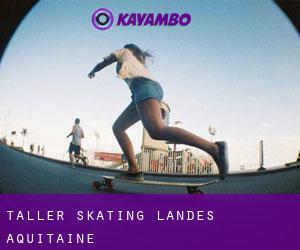 Taller skating (Landes, Aquitaine)