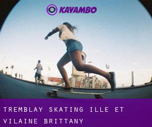 Tremblay skating (Ille-et-Vilaine, Brittany)