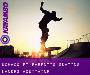 Uchacq-et-Parentis skating (Landes, Aquitaine)