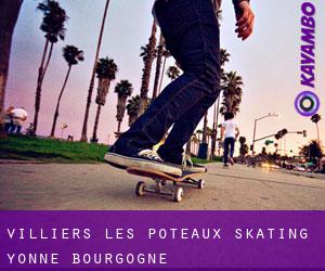 Villiers-les-Poteaux skating (Yonne, Bourgogne)