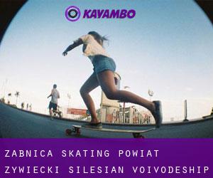 Żabnica skating (Powiat żywiecki, Silesian Voivodeship)